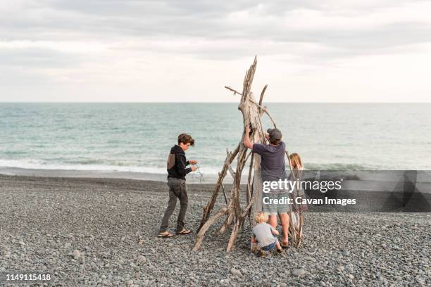 family decorating driftwood christmas tree at coast - bois flotté photos et images de collection