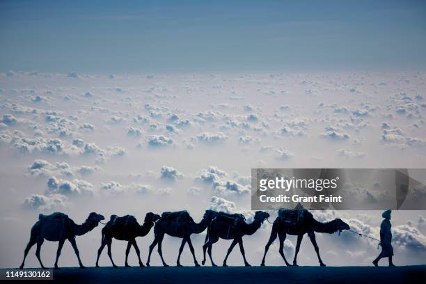 camel train in desert. - camel train stock pictures, royalty-free photos & images