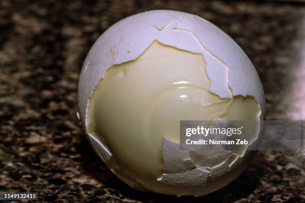 crack the shell! - hard boiled eggs stock-fotos und bilder