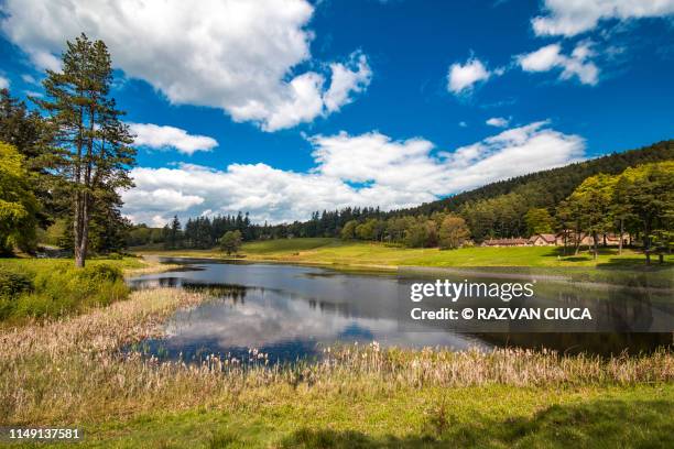cragside - tumbleton lake - rothbury northumberland foto e immagini stock