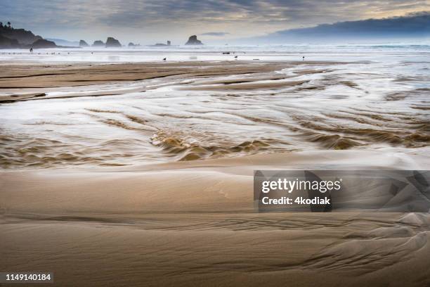 oregon coast beach after heavy rain - cannon beach imagens e fotografias de stock