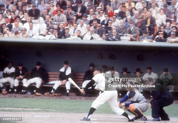 Felipe Alou of the San Francisco Giants swings at the pitch during an MLB game agianst the Los Angeles Dodgers on May 20, 1961 at Candlestick Park in...