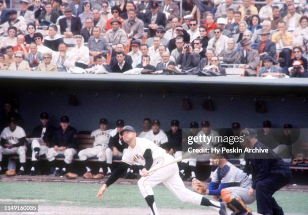 Harvey Kuenn of the San Francisco Giants swings at the pitch during an MLB game agianst the Los Angeles Dodgers on May 20, 1961 at Candlestick Park...