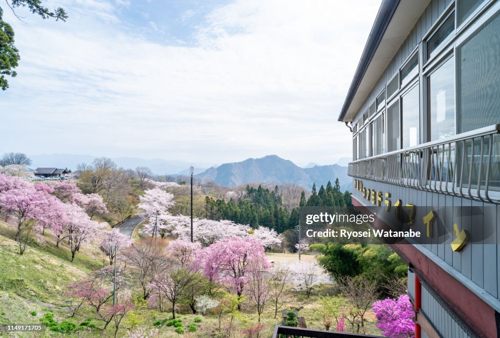 Nakanodake Drive-In