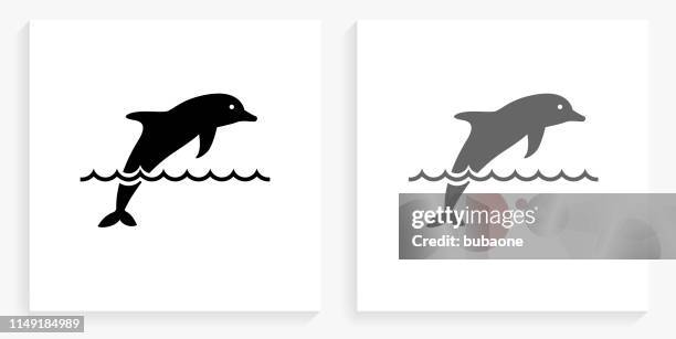 delphin black and white square icon - dolphin stock-grafiken, -clipart, -cartoons und -symbole