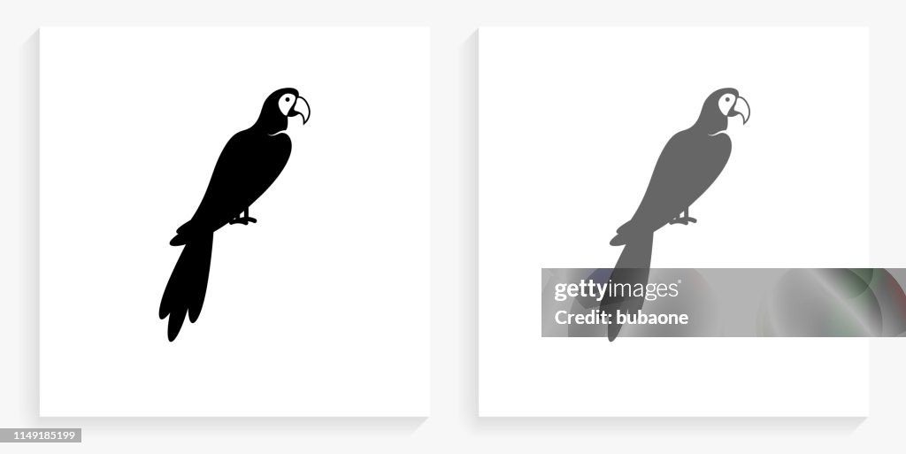 Macaw Bird Black and White Square Icon