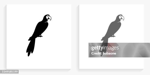 macaw bird black and white square icon - macaw stock illustrations