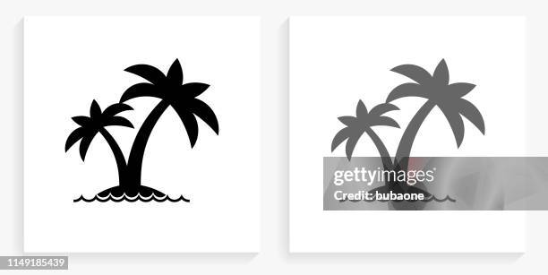 island and palms black and white square icon - palm tree shadow white background stock illustrations