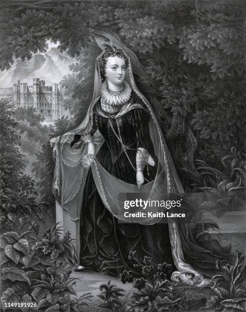 portrait of mary, queen of scots - french_crown stock illustrations