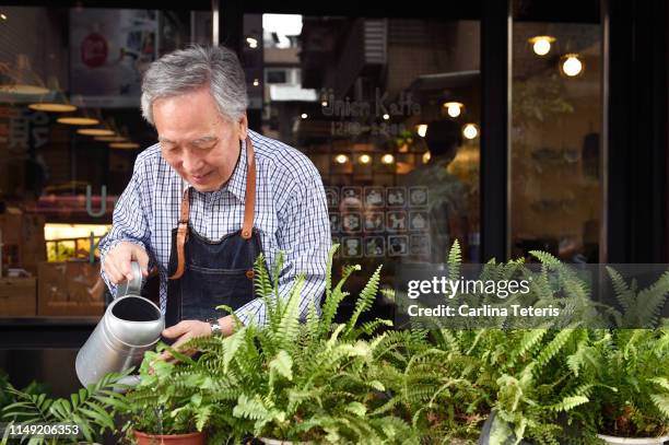 senior shop keeper watering his plants - senior water women stock-fotos und bilder