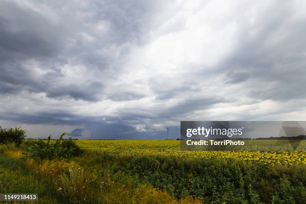 thundercloud over the field - heavy storm in kiev stock pictures, royalty-free photos & images