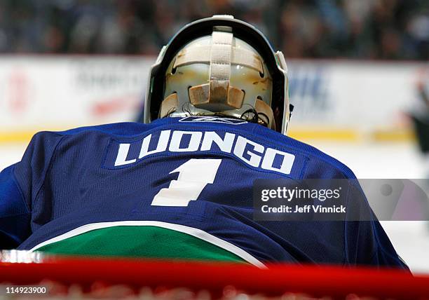 Roberto Luongo of the Vancouver Canucks looks on from his crease in Game Five of the Western Conference Finals during the 2011 NHL Stanley Cup...