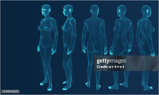 ilustrações de stock, clip art, desenhos animados e ícones de three dimensional woman. set. ware mesh from 3d app. - corpo humano