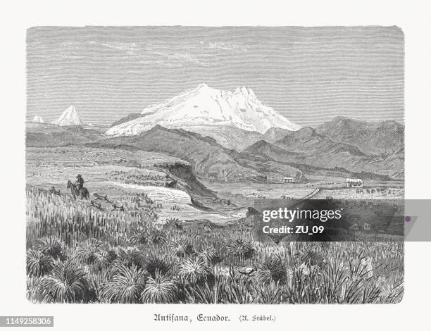 antisana-stratovulkan in ecuador, holzgravur, veröffentlicht 1897 - ecuador stock-grafiken, -clipart, -cartoons und -symbole