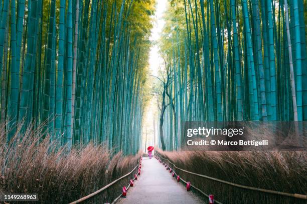 japanese woman walking in bamboo grove, arashiyama, kyoto, japan - diminishing perspective stock pictures, royalty-free photos & images