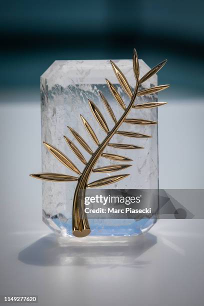 The 72nd edition of the Palme d'Or trophy is pictured during the Cannes Film Festival at the Chopard Jewellery House Suite during the 72nd annual...