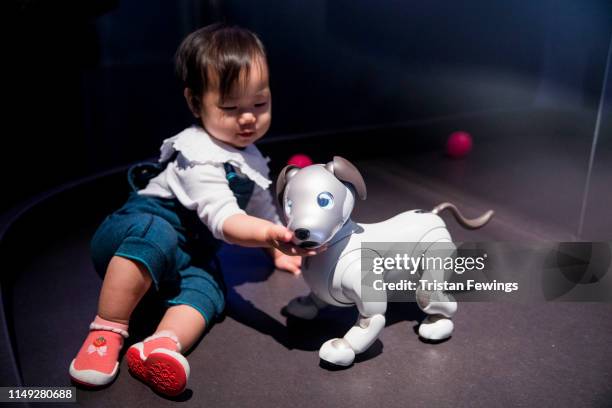 Aibo' by Sony Corporation is displayed as part of the 'AI: More than Human' exhibition at the Barbican Curve Gallery on May 15, 2019 in London,...