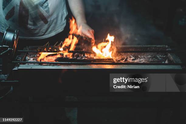 feu sur le barbecue - bbq winter photos et images de collection