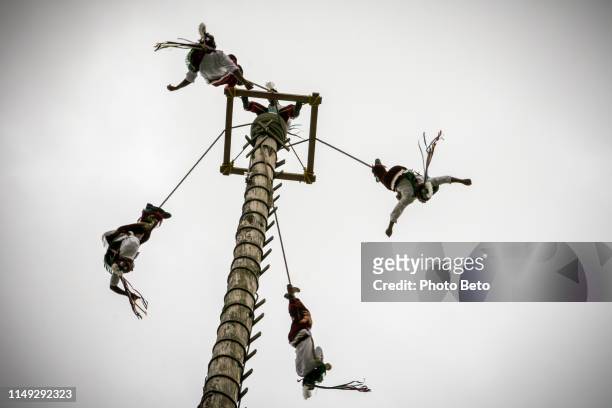 111 fotos e imágenes de Voladores De Papantla - Getty Images