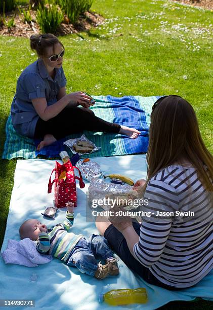 family picnic at ventnor botanical gardens - beach mat stock pictures, royalty-free photos & images
