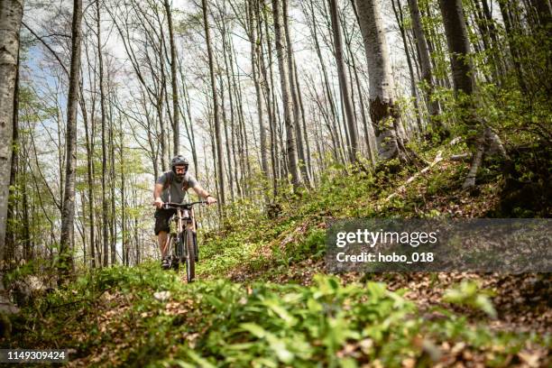 Spring Bike Riding 20,163 Spring Bike Rides Stock Photos, High-Res Pictures, and Images ...