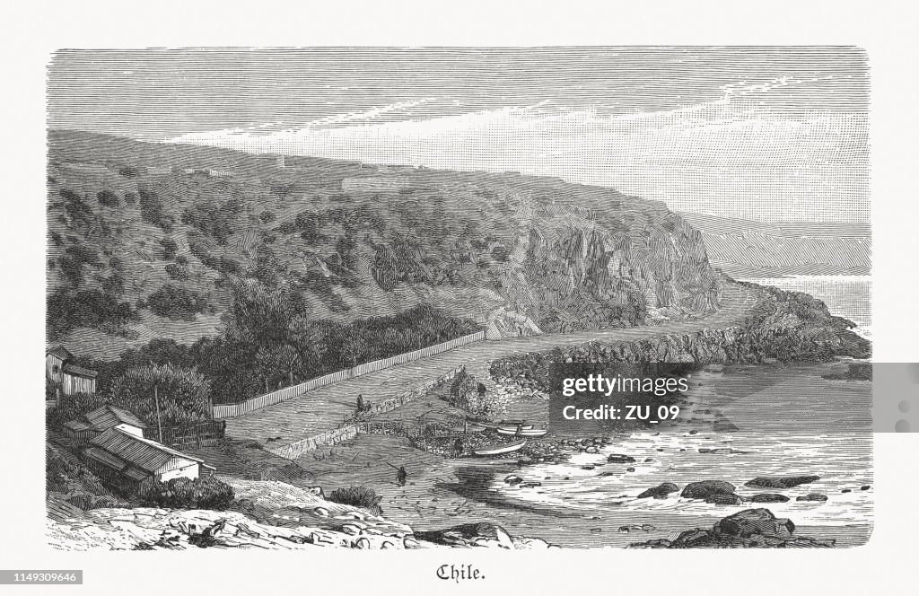 Costa del Pacífico del norte de Chile, grabado en madera, publicado en 1897
