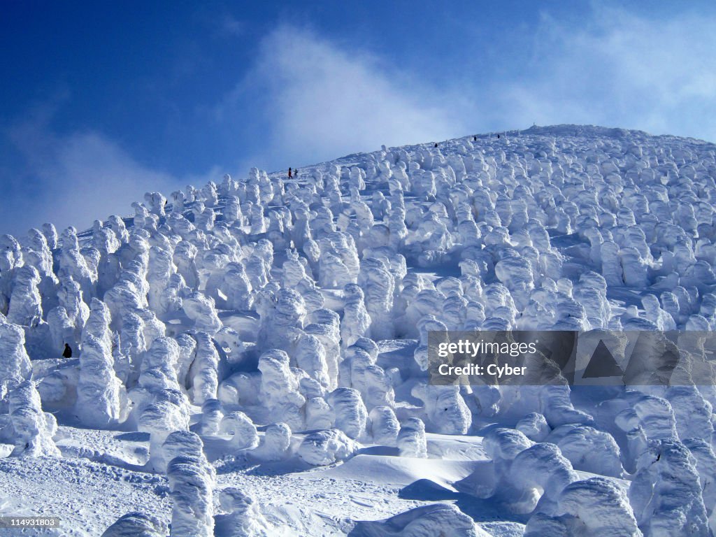 Snow Monsters at Zao