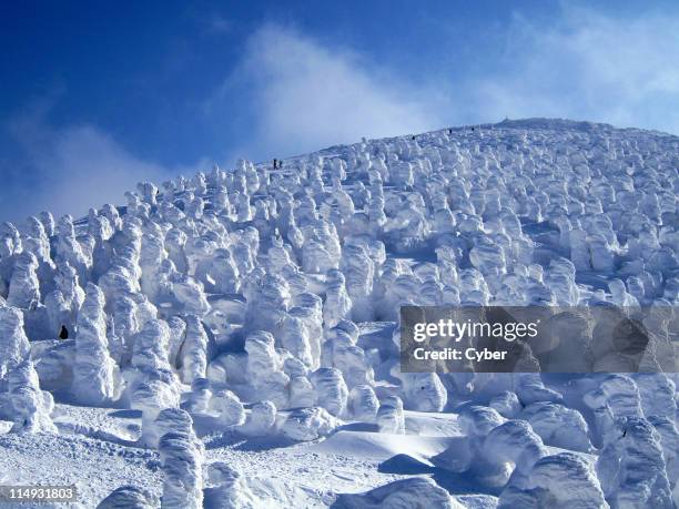 snow monsters at zao - snow monsters in zao stock pictures, royalty-free photos & images