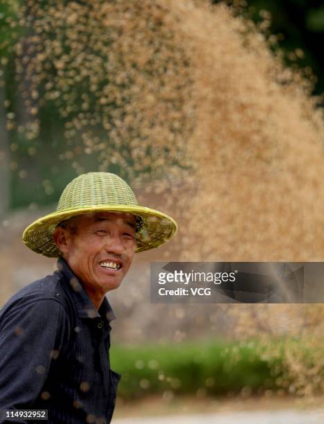 Farm worker harvests wheat in a field on May 29, 2011 in Huaibei, Anhui Province of China. Anhui province will put 125,000 combine harvesters into...