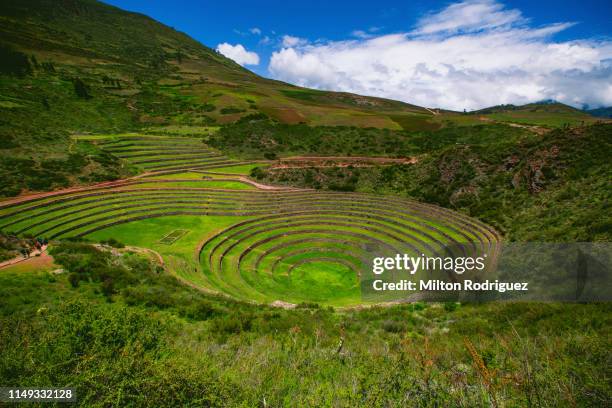 inca terraces of moray, cusco peru. - moray inca ruin stock pictures, royalty-free photos & images