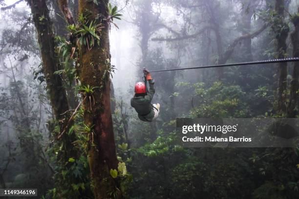 zip line - monteverde stock-fotos und bilder