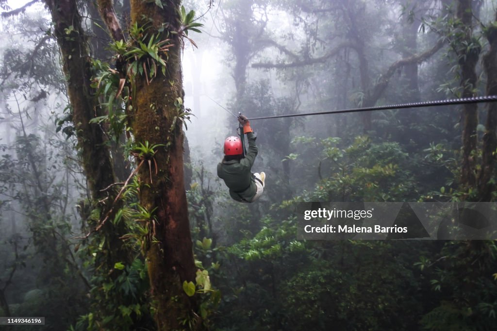 Zip Line