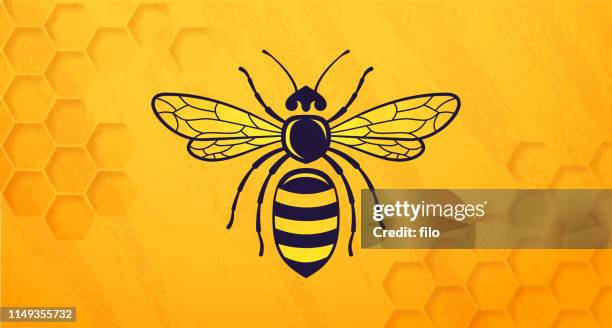 honey bee beehive - orange wasp stock illustrations