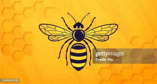 honey bee beehive - honeycomb pattern stock illustrations