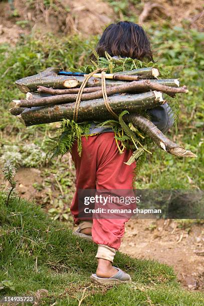 little girl fetching fire wood - child labor - fotografias e filmes do acervo