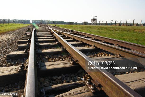 the rails are dated to - concentration camp stock pictures, royalty-free photos & images