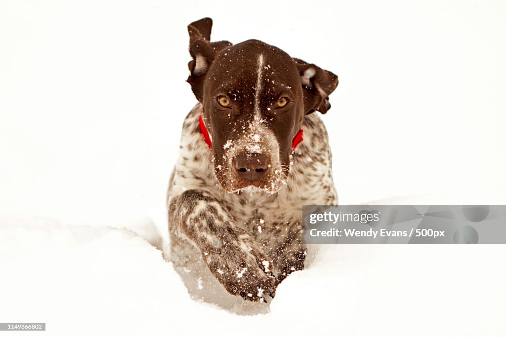 Out Of The Snow