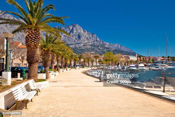 baska voda palm waterfront view - makarska imagens e fotografias de stock