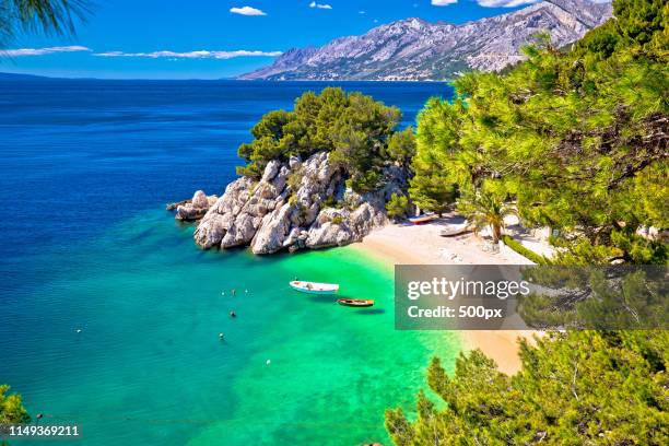 idyllic beach punta rata in brela aerial view - マカルスカ ストックフォトと画像