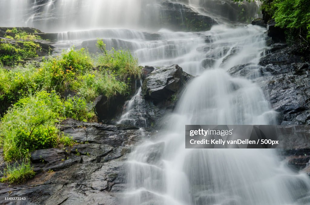 Amicalola Falls Looking Up