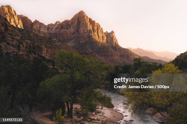 desert oasis - zion narrows stock pictures, royalty-free photos & images