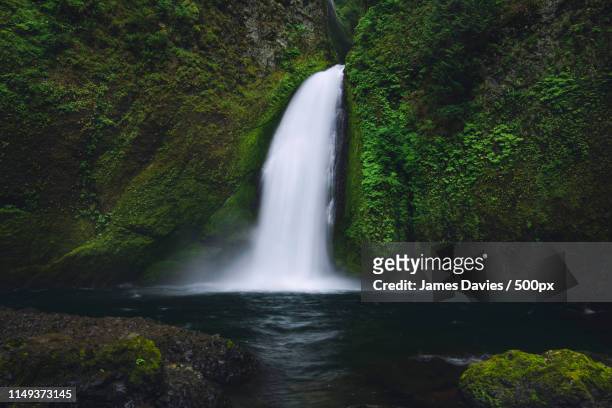 wahclella falls - oregon - portland neon sign stock pictures, royalty-free photos & images