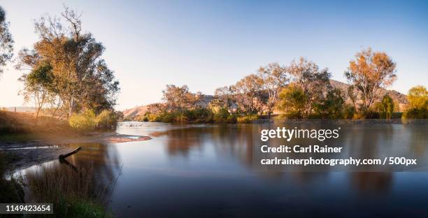 sunset on the murray river - fishing australia stock pictures, royalty-free photos & images