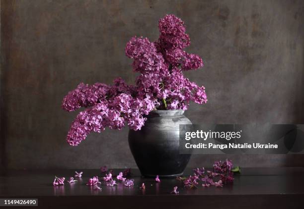 lilac bouquet in black ceramic vase - lilac bush stock pictures, royalty-free photos & images