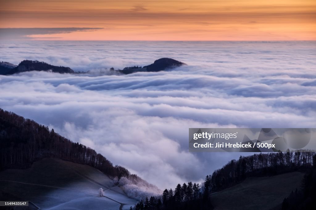 Misty Morning In Jura Mountains