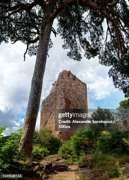old medieval fortress ruins of chateau landsberg in deep forest - landsberg am lech fotografías e imágenes de stock
