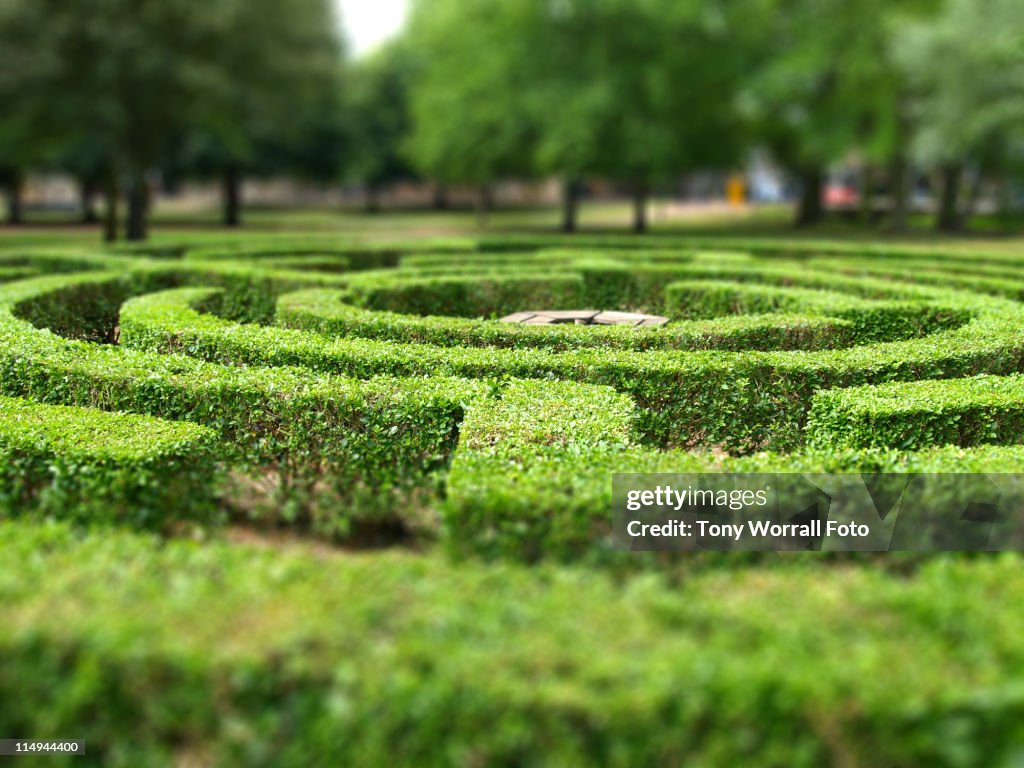 Maze in Huntingdon