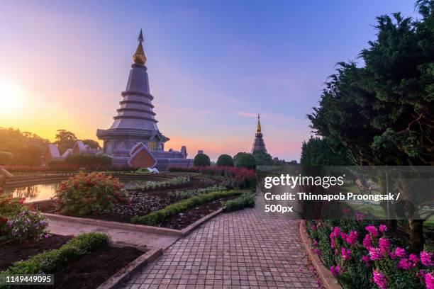 landscape pagoda in inthanon - united states department of the interior stock pictures, royalty-free photos & images