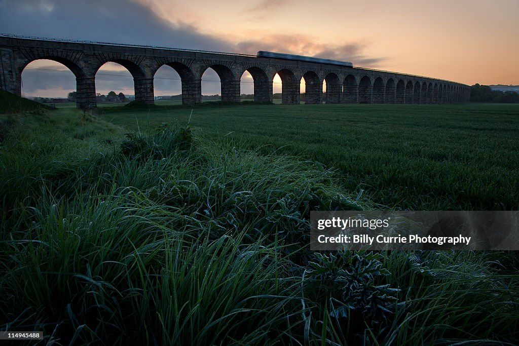 Morning train going over Broxburn Viaduct