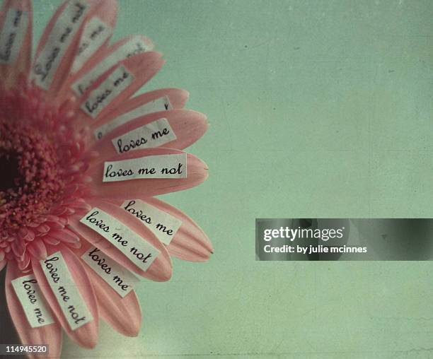 595 She Loves Me She Loves Me Not Stock Photos and High-Res Images